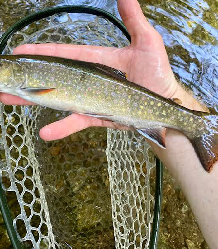 Fishing at Graves Mountain farm & Lodges