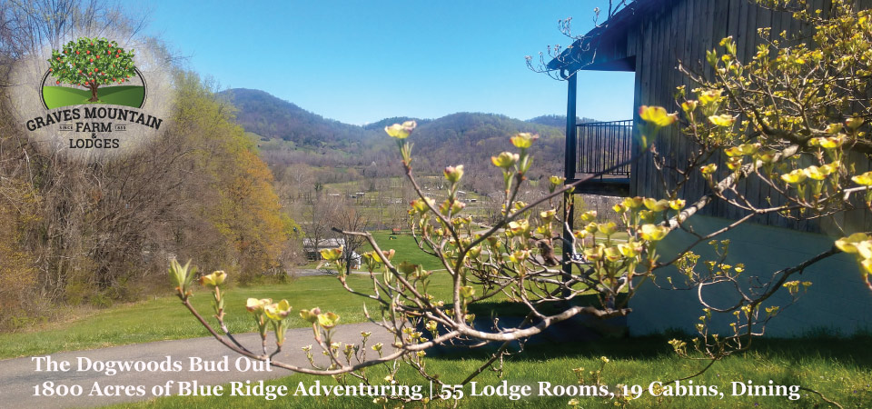 Graves Mountain LodgeHead1-1_spring