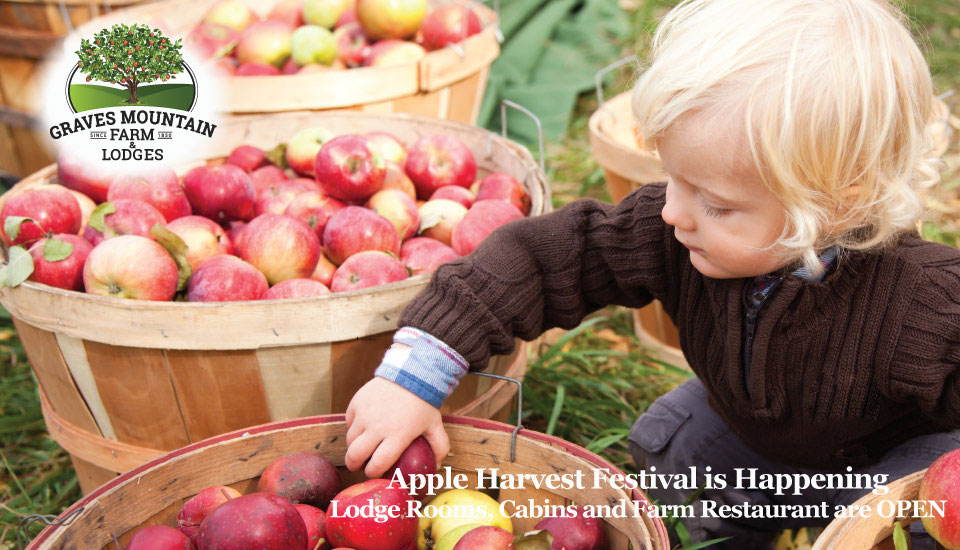 Child picking apples from baskets in an orchard; festival text overlay and lodge logo in corner.