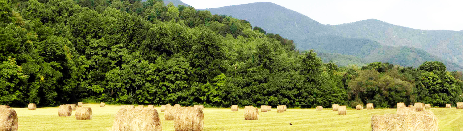 Activities at Graves Mountain Farm & Lodges - 22 activities & adventures