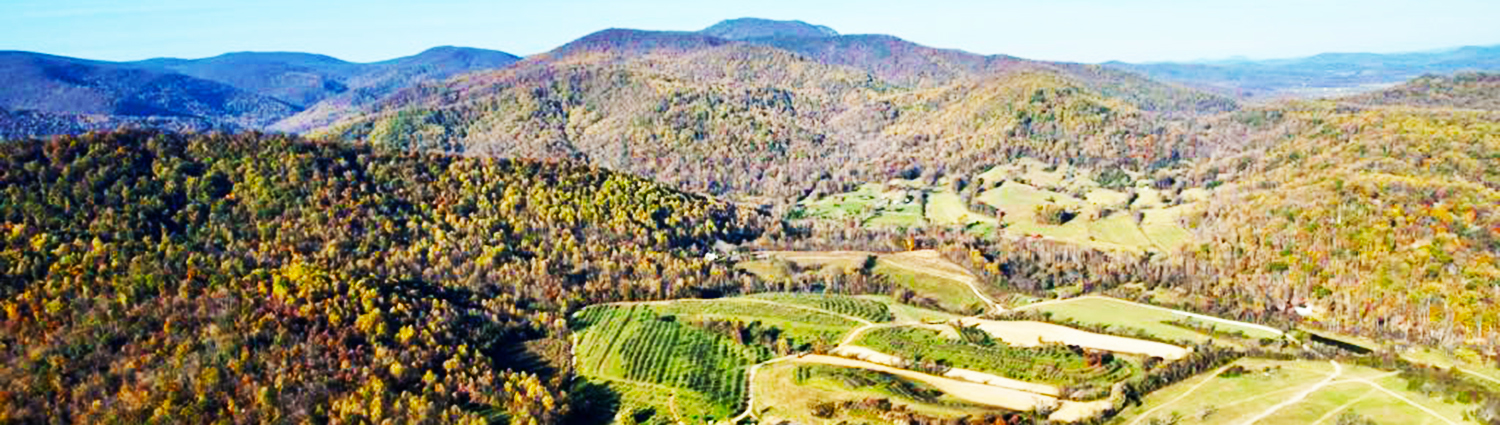 Activities at Graves Mountain Farm & Lodges - 22 activities & adventures