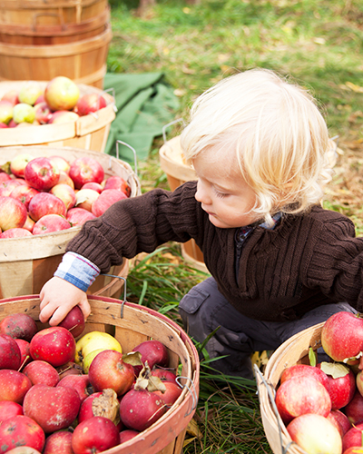 Apple Harvest Festival Days at Graves Mountain Farm & Lodges, Syria VA