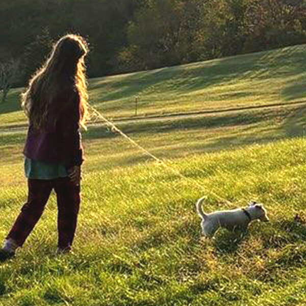 Pet Friendly Cabins and Lodge Rooms on 1800 Acre Farm by Shenandoah Nat. Park