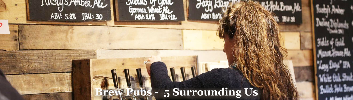 5 Brew Pubs within 30 mins drive of Graves Mountain Farm & Lodges
