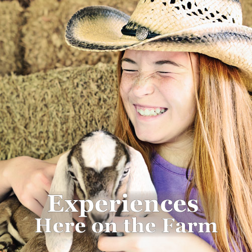 Experriences at Graves Mountain Farm & Lodges