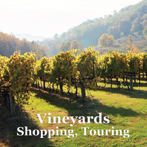 Vineyrad Tours from Graves Mountin Farm