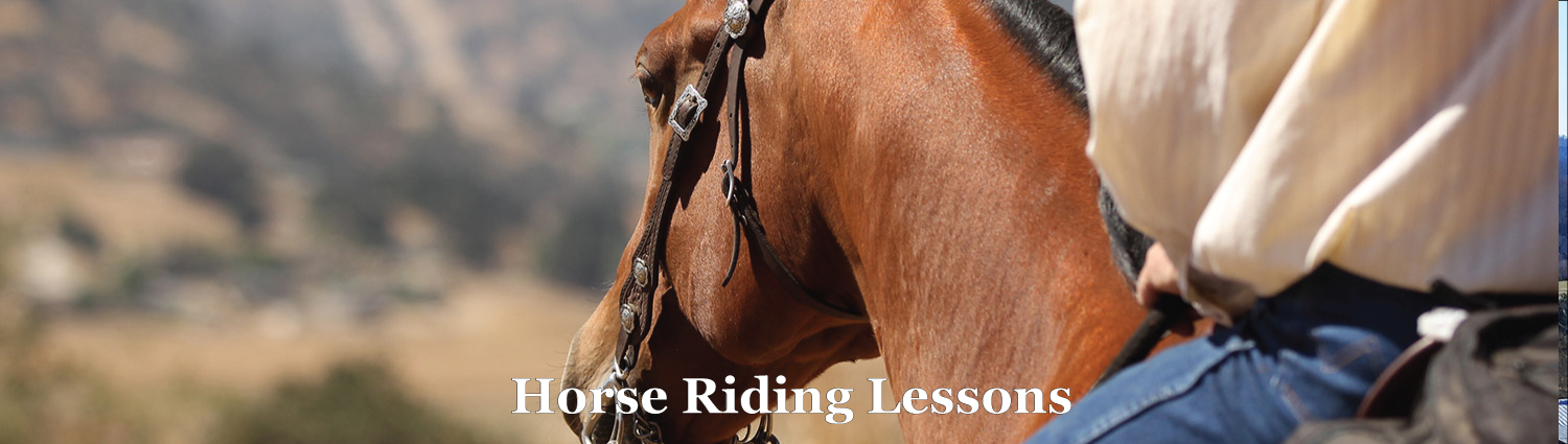 Riding Lessons at Graves Mountain Farm near Shenadoah National Park
