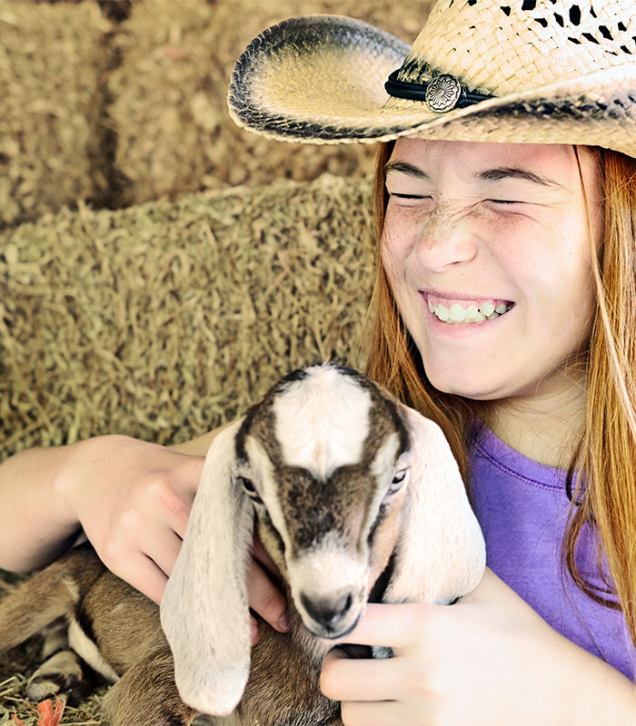 Farm animals to play with at Graves Mountain Farm & Lodges