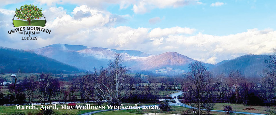 graves_index_header_960x400_wint-spring-2026