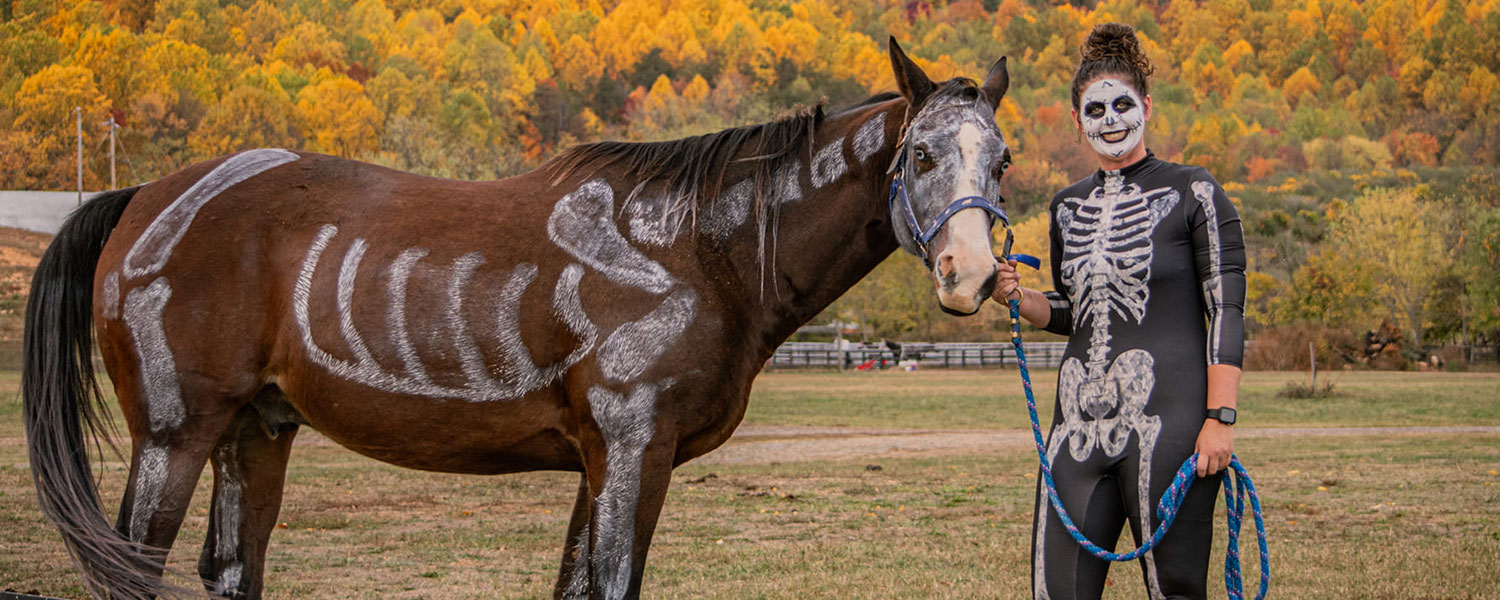 Halloween Trail Riding Weekend at Graves Mountain Farm - stables, horse camping