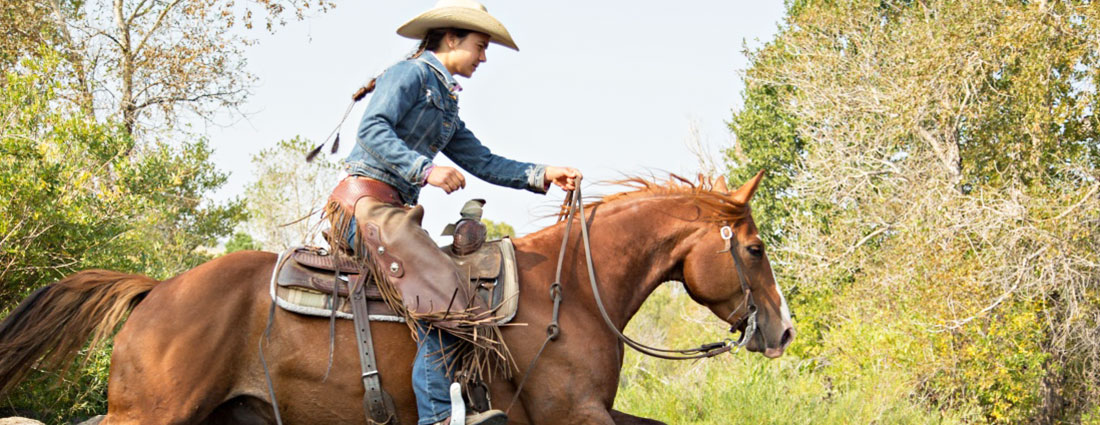 Horse riding lessons at Graves Mountain Farm Stables with Circle H Equine