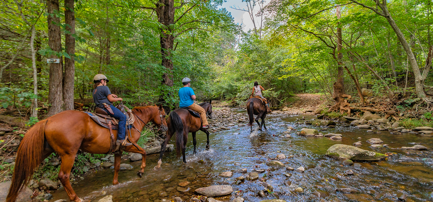 Horseback riders crossing stream at Shenandoah National Park - 29 miles of horse and hiking trails on real, working farm - ride through forest, meadow, through stream, orchard, by cattle, and into the real farm yard.