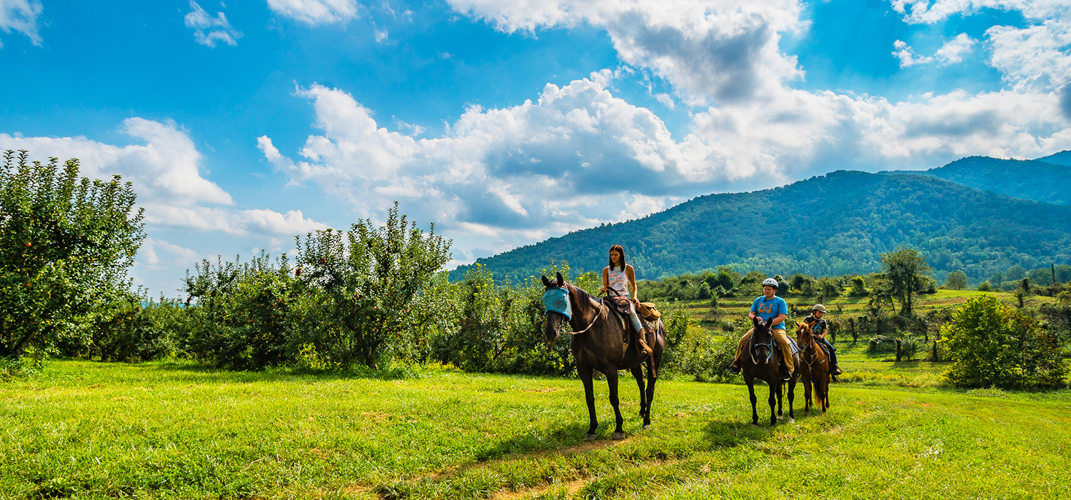 Horseback riders in orchard at Shenandoah National Park - 19 miles of horse and hiking trails on real, working farm - ride through forest, meadow, through stream, orchard, by cattle, and into the real farm yard.