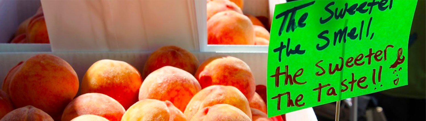 Peach Day Festival at Graves Mountain farm in the VA Blue Ridge