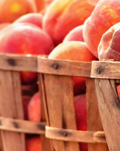 Peach Festival Day at Graves Mountain Farm & Lodges
