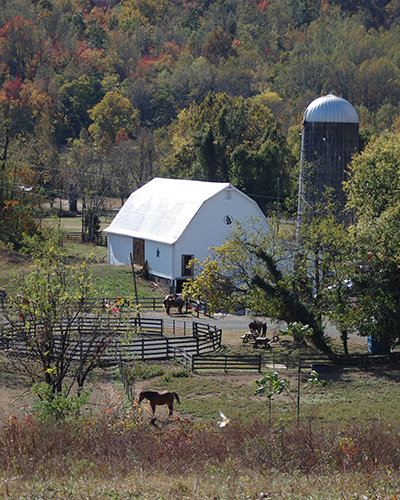 Horse riding stables at Graves Mountain Farm & Lodges - by Shenandoah National Park