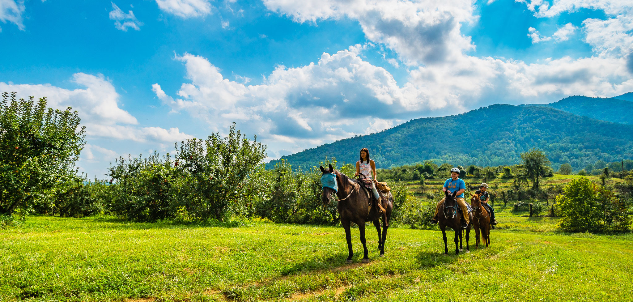Horseback Trail Riding - on of the 22 activities at Graves Mountain Farm wedding venue
