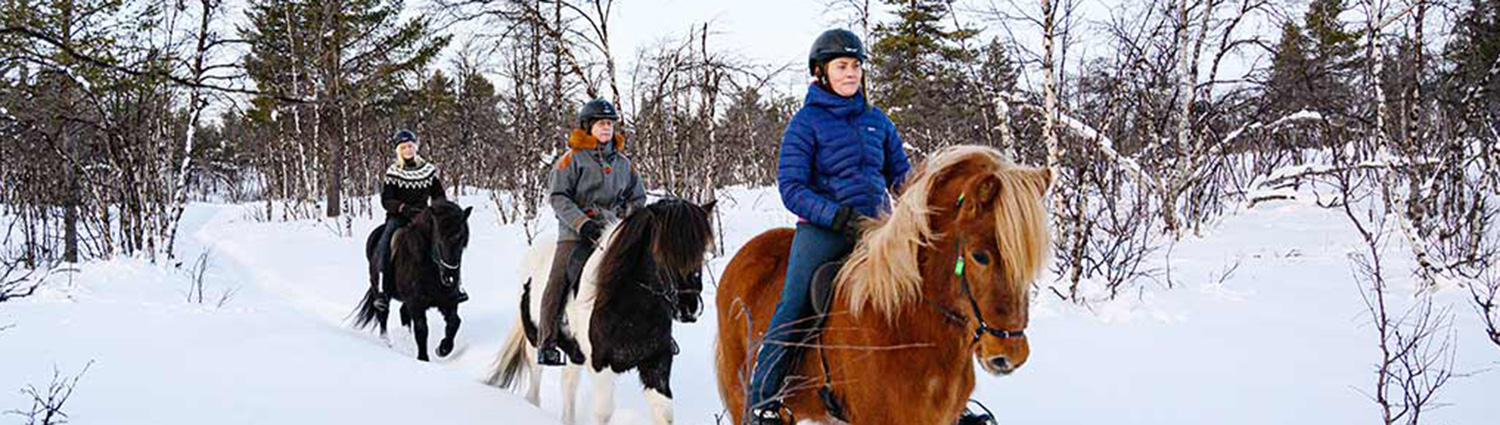 Horse Riding in Snow at Graves Mountain Farm and Lodges Stables