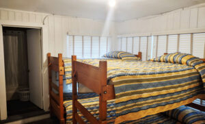 Wild Wind on Robinson River near Shenandoah National Park