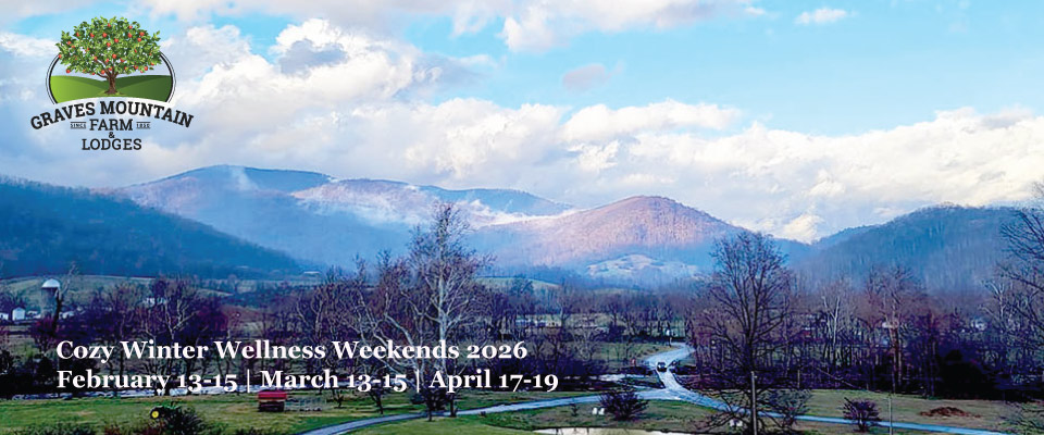 winterwellness_960x400_01022026